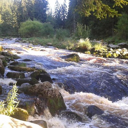 Apartmany U Ady Železná Ruda Kültér fotó